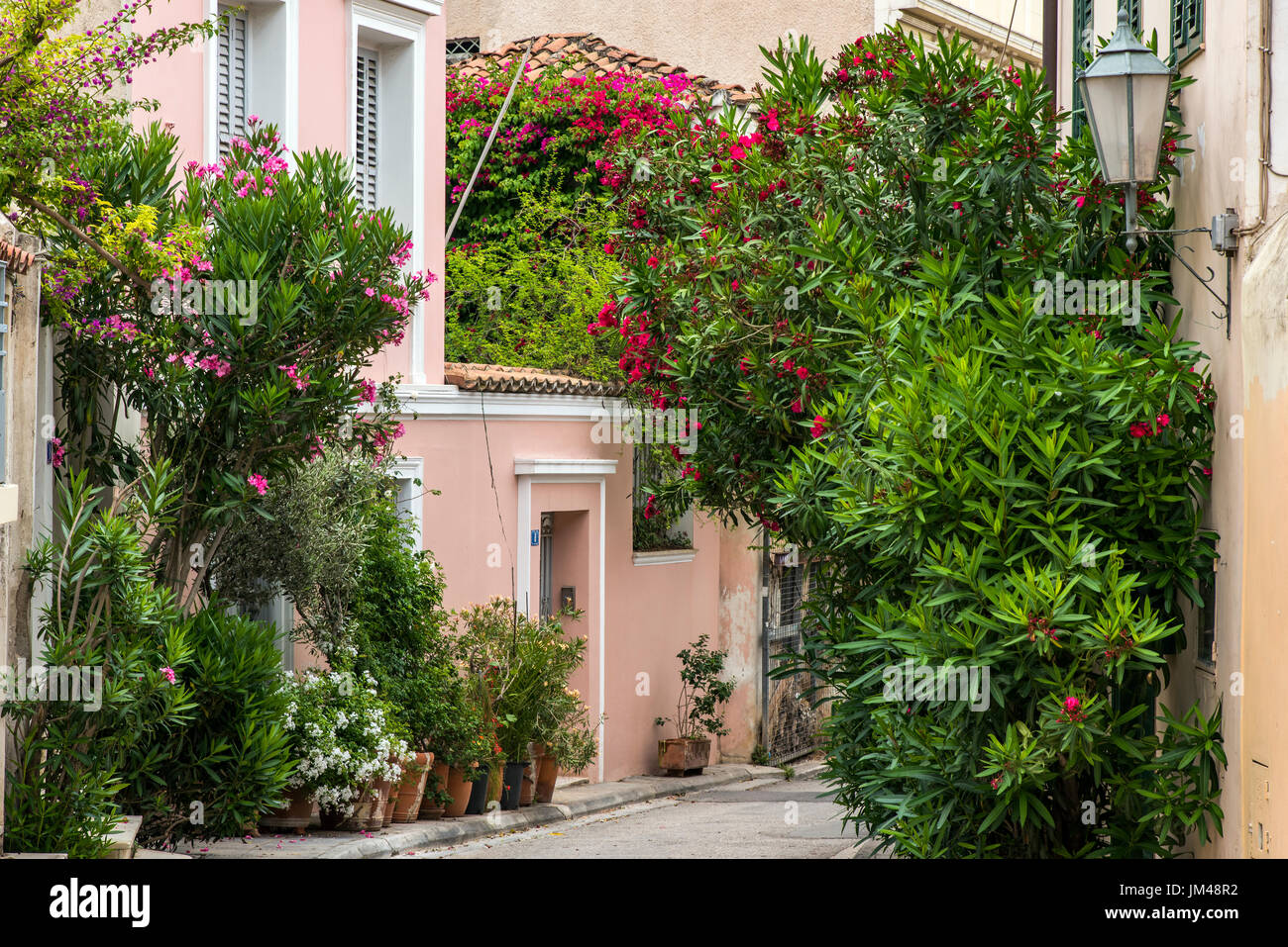 Pintoresco rincón del barrio de Anafiotika, Atenas, Attica, Grecia Foto de stock
