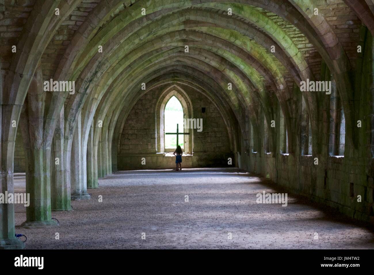 Turista mirando cruz en el claustro de Fountains Abbey, North Yorkshire, Reino Unido Foto de stock