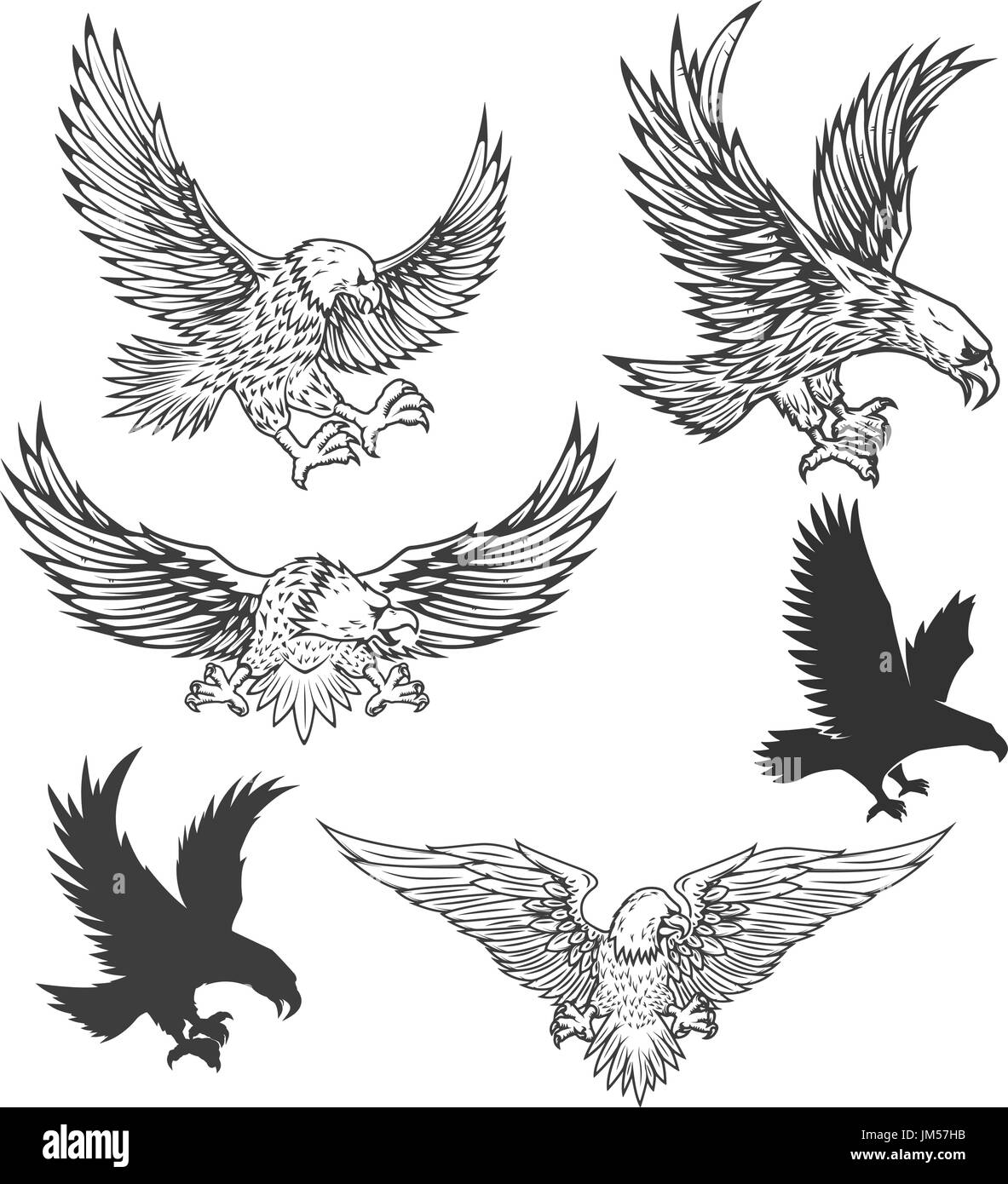 Ilustración de águila volando aislado sobre fondo blanco. Ilustración  vectorial Imagen Vector de stock - Alamy