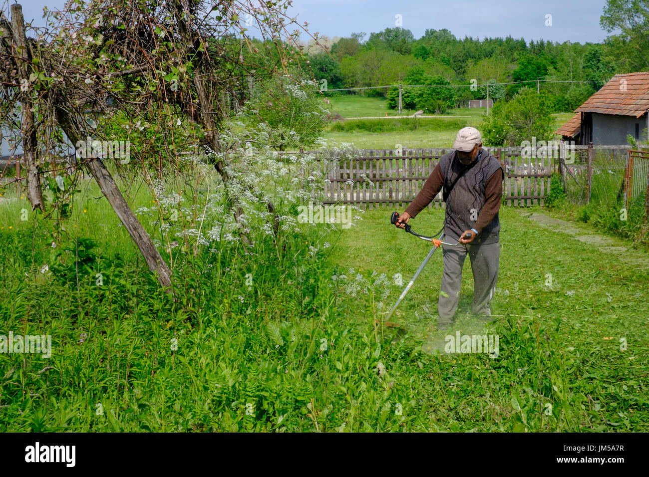 Hombre utilizando un local strimmer para cortar el césped largo en el jardín de una casa rural en una aldea en el condado de Zala hungría Foto de stock