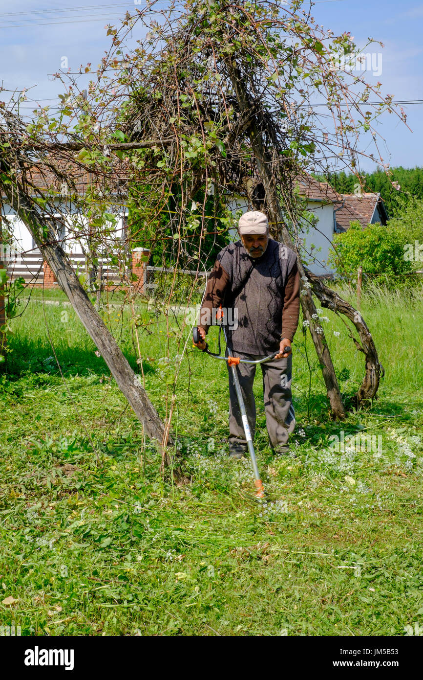 Hombre utilizando un local strimmer para cortar el césped largo en el jardín de una casa rural en una aldea en el condado de Zala hungría Foto de stock