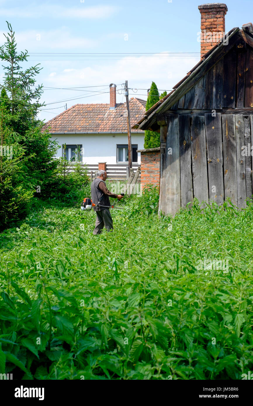 Hombre utilizando un local strimmer para cortar el césped largo en el jardín de una casa rural en una aldea en el condado de Zala hungría Foto de stock