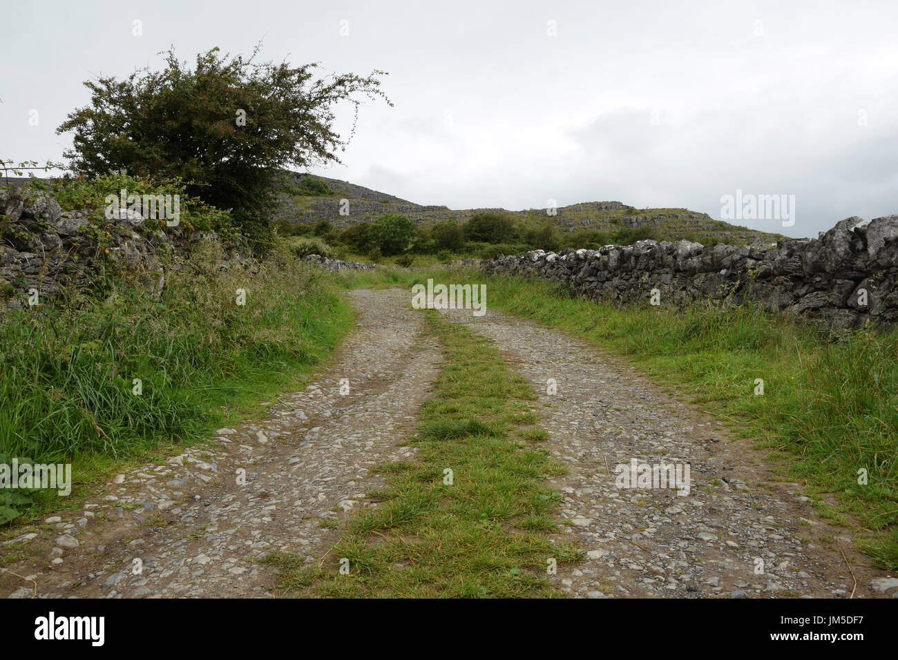 Country Road, con paredes de piedra en contra de colinas en el condado de Clare, al oeste de Irlanda Foto de stock