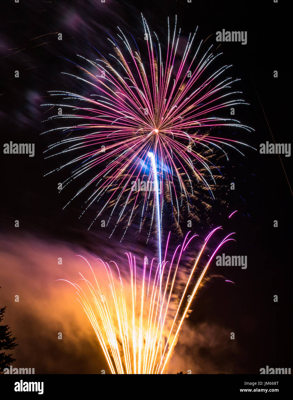 Foto vertical de color amarillo, naranja y violeta fuegos artificiales de disparo desde el suelo mientras un fuegos artificiales multicolores explota en el cielo de la noche Foto de stock