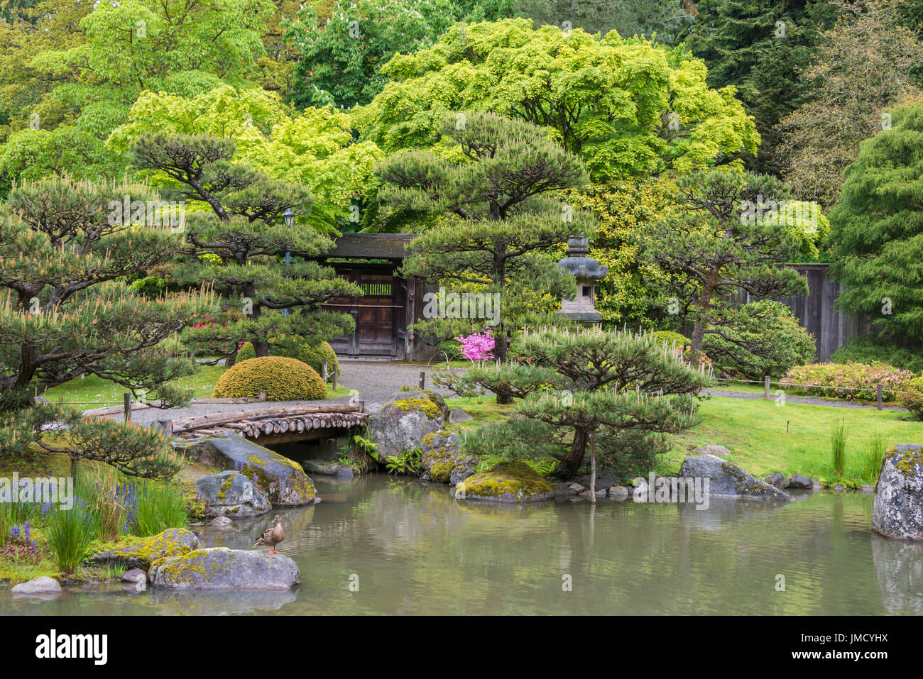 Paisajes de jardines japoneses con puerta de madera, Puente, linternas