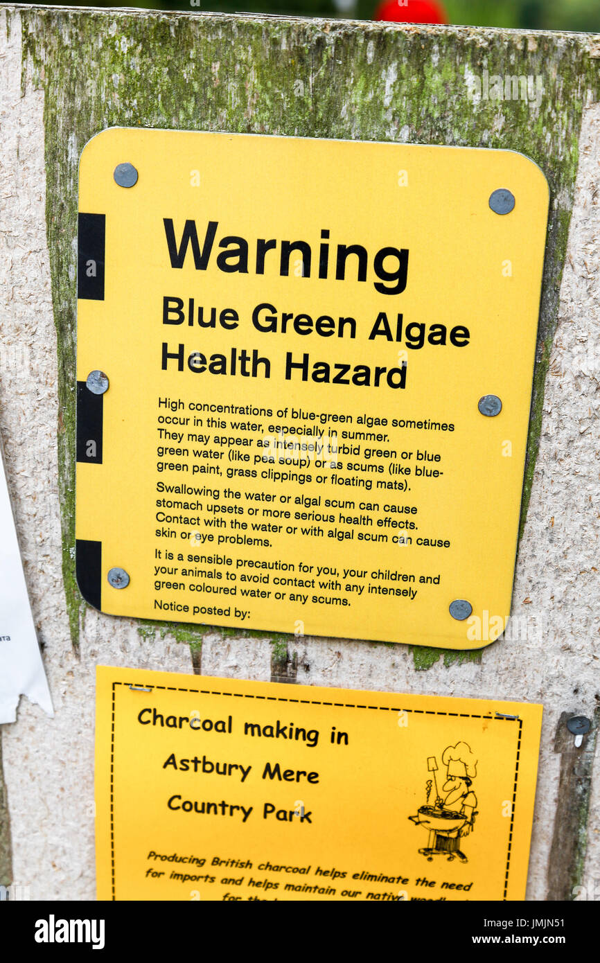 Un signo de advertencia de algas verde azules provocando un riesgo para la salud en mera Congleton Astbury, Cheshire, Inglaterra, Reino Unido. Foto de stock