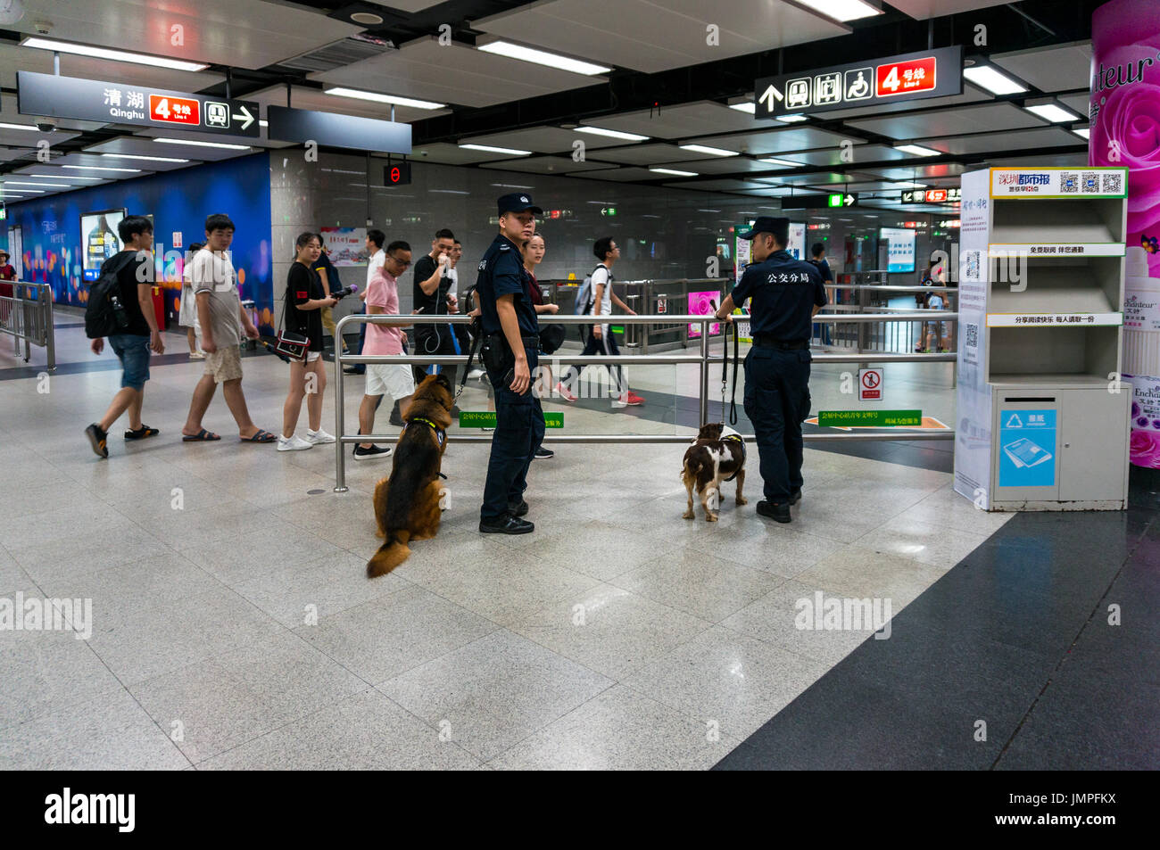 Los transeúntes encantado por perros de policía en servicio en el metro en Shenzhen, China Foto de stock