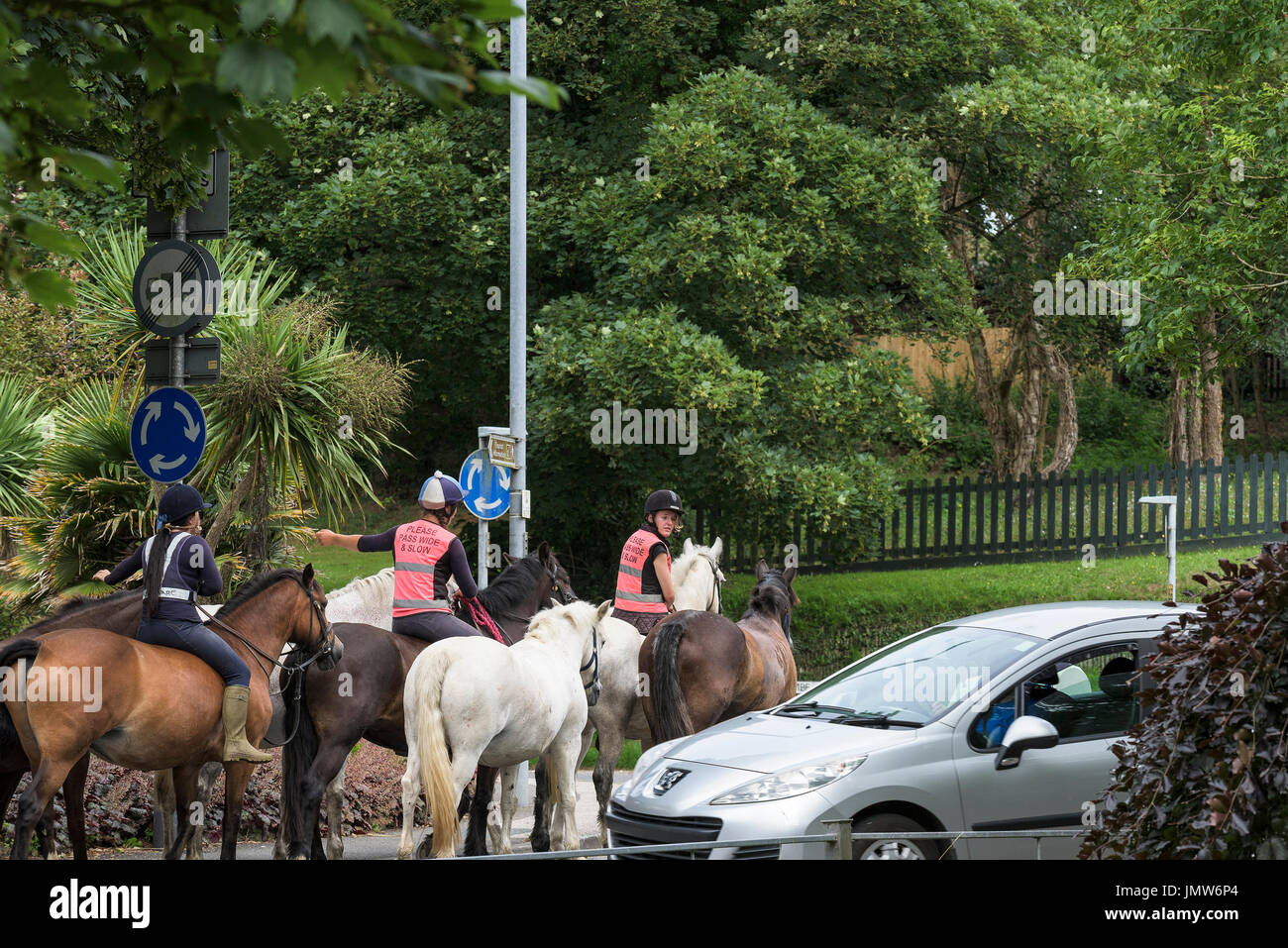 Los jinetes a caballo en carreteras públicas. Foto de stock