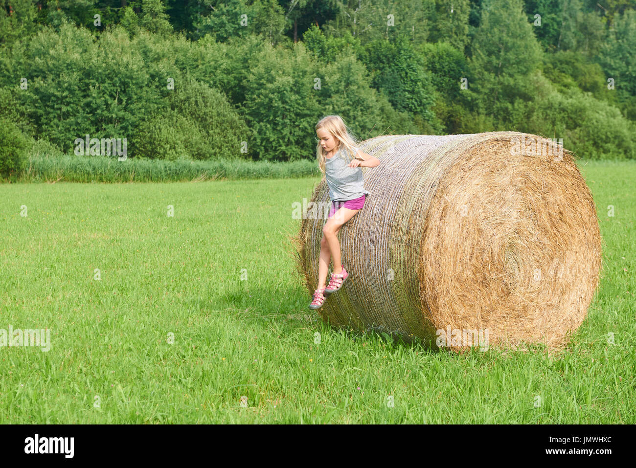 para donar sopa Es decir Niño chica rubia por paja de pacas de heno en el campo de las actividades  de verano de los niños Fotografía de stock - Alamy