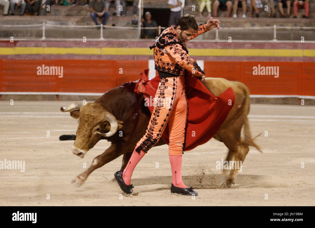 Las corridas de toros, toro con barbas / banderillas, embedded hombro de  tercio de Banderillas ronda de las corridas de toros, la carga en el Torero.  Plaza de Toros de Valencia, España.