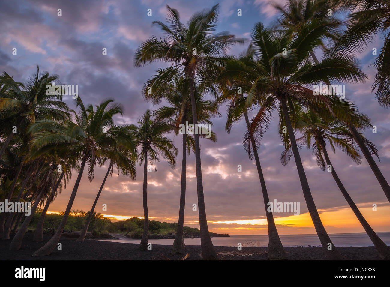 Amanecer en Punalu'u, playa de arena negra, Ka'u Distrito, Isla de Hawai. Foto de stock