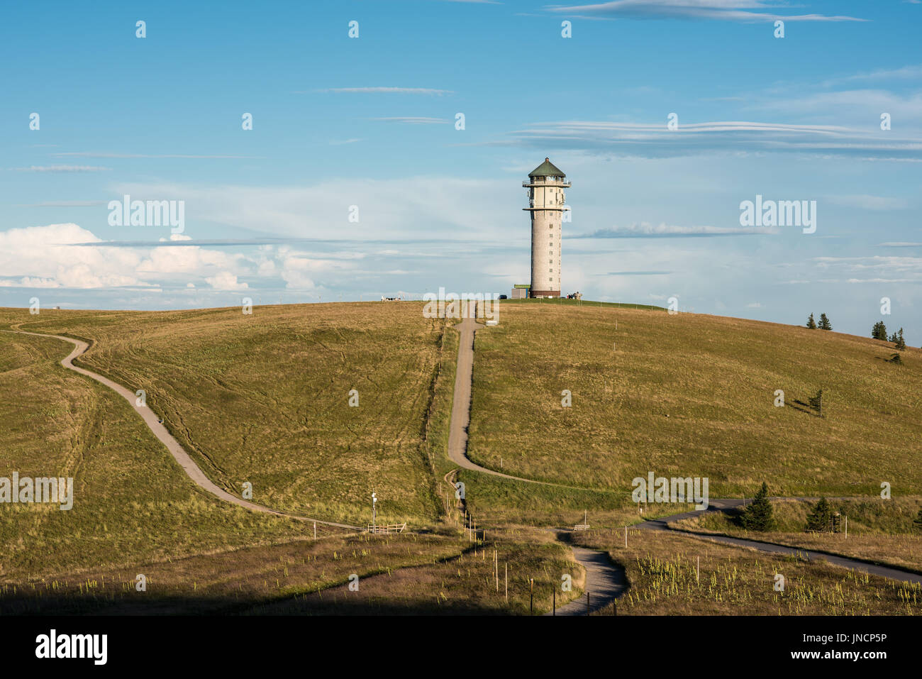 Feldbergturm Selva Negra Alemania Foto de stock