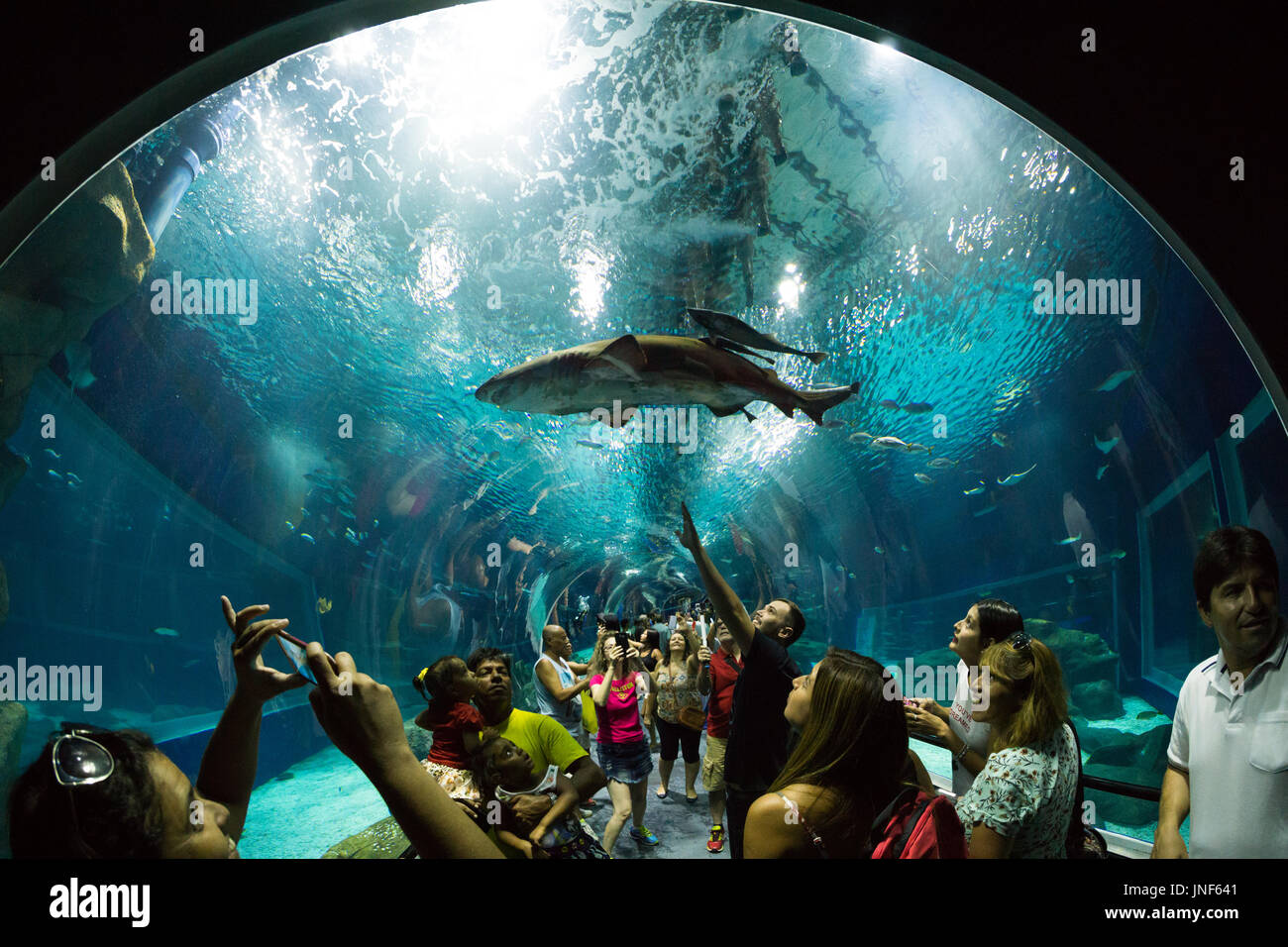 Huge aquarium fotografías e imágenes de alta resolución Alamy