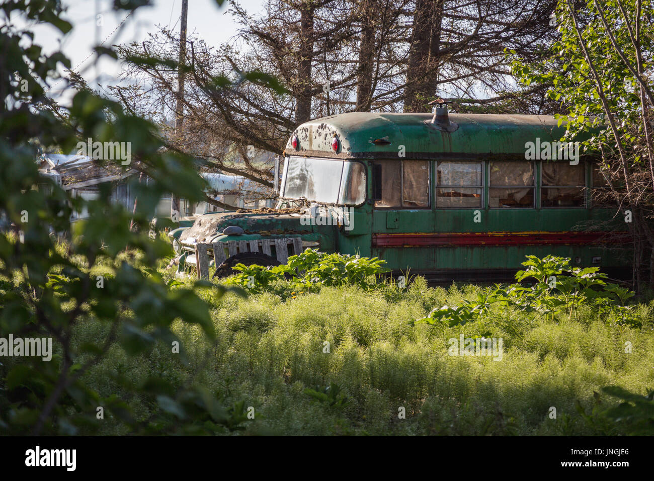 Viejos autobuses verdes, distrito de la Ciudad Homer, Alaska, EE.UU Fotografía de - Alamy