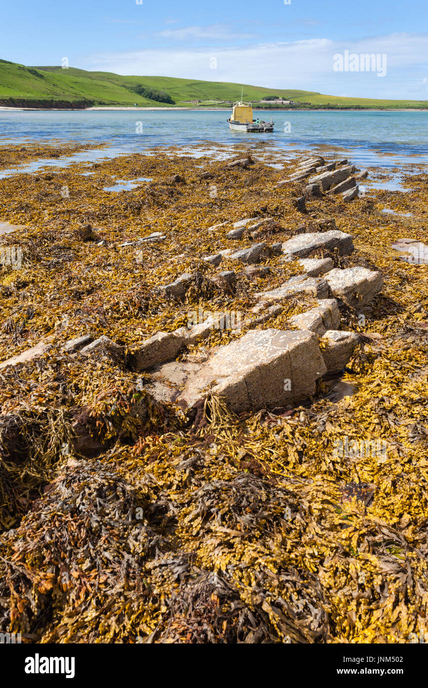 Seashore en hoy isla, Orkney, en marea baja. UK Foto de stock