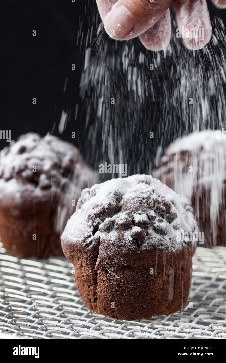 Muffins de chocolate Foto de stock