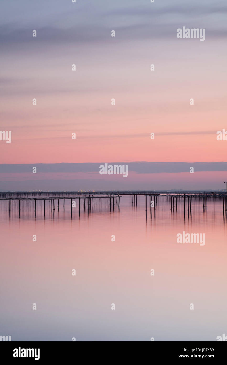 Tablas de ostras en la laguna de Thau, en el suroeste de Francia, en la puesta de sol. Foto de stock
