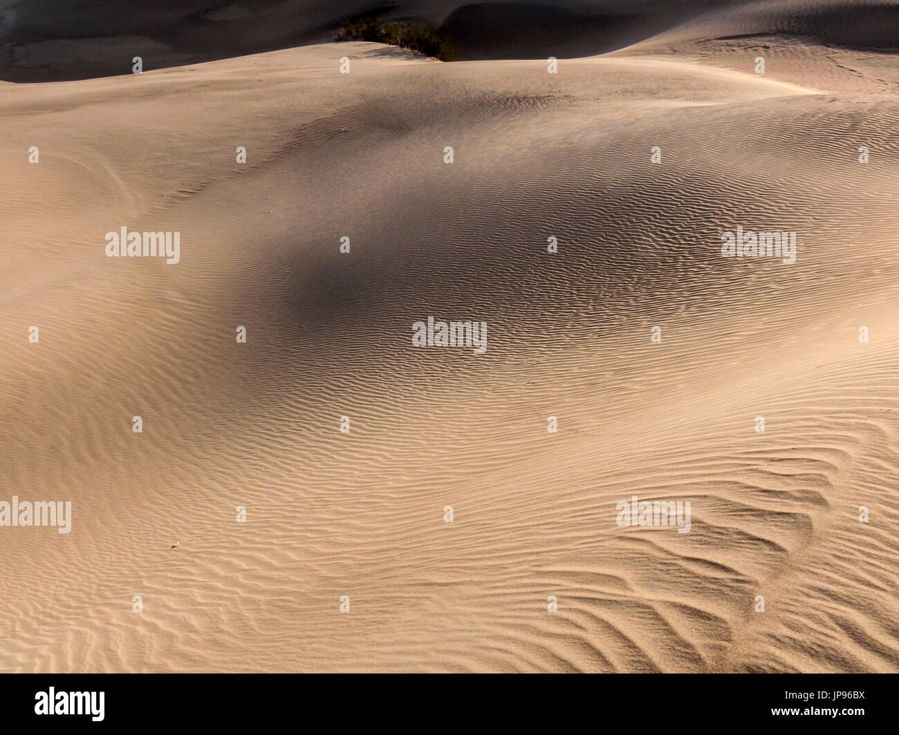 Las dunas de arena, el Parque Nacional Valle de la muerte, EE.UU. Foto de stock