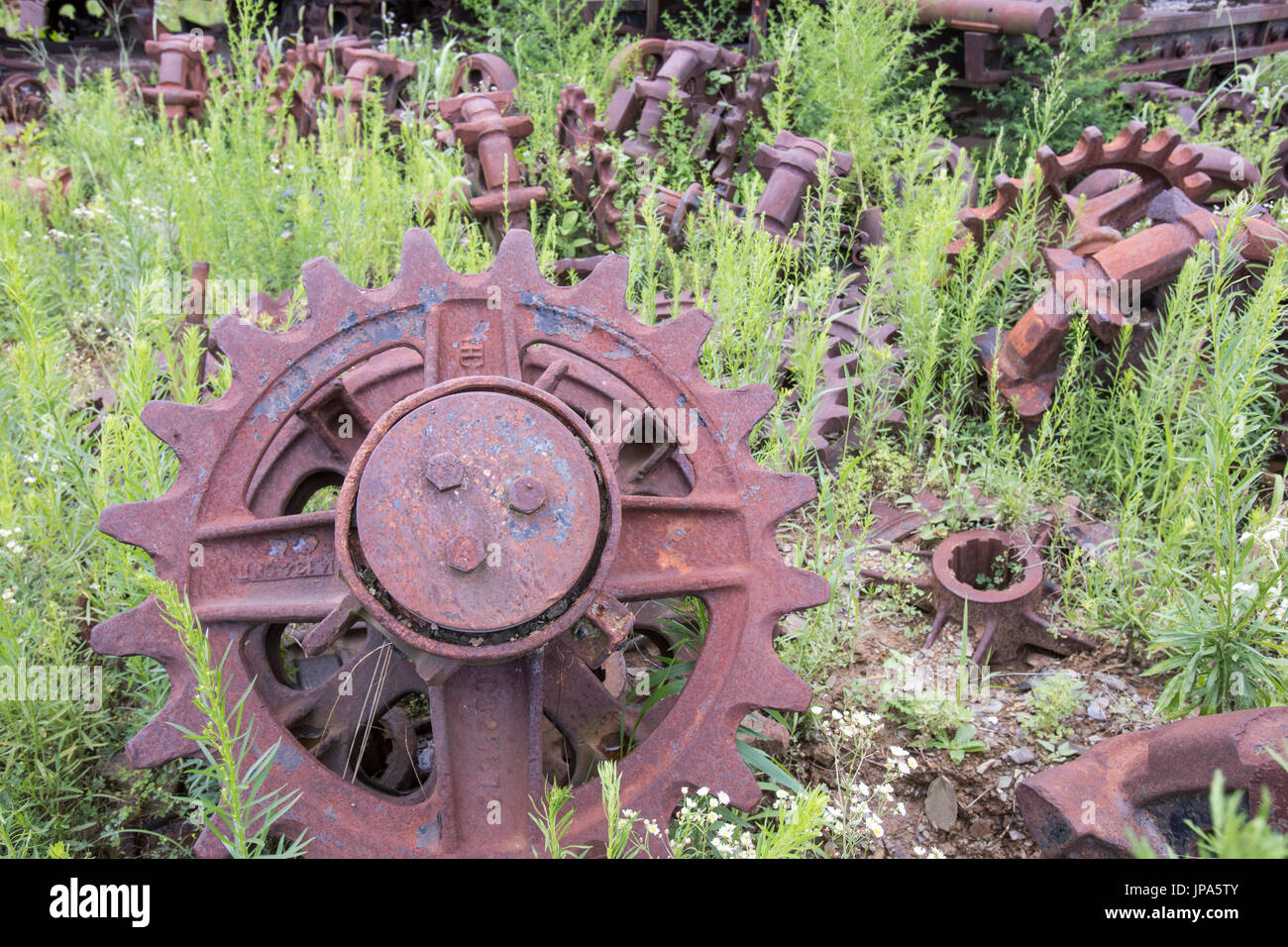 La oxidación de los engranajes de la maquinaria pesada en las malas hierbas del campo junkyard
