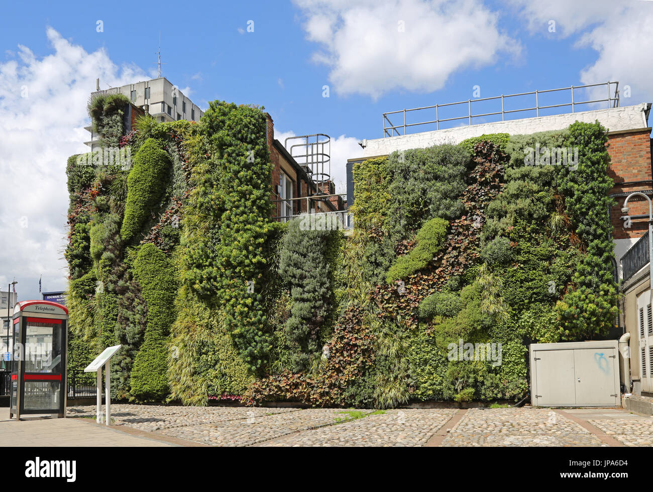 Una pared verde maduro en el lateral del londinense de Edgware Road Estación de metro Bakerloo Line Foto de stock