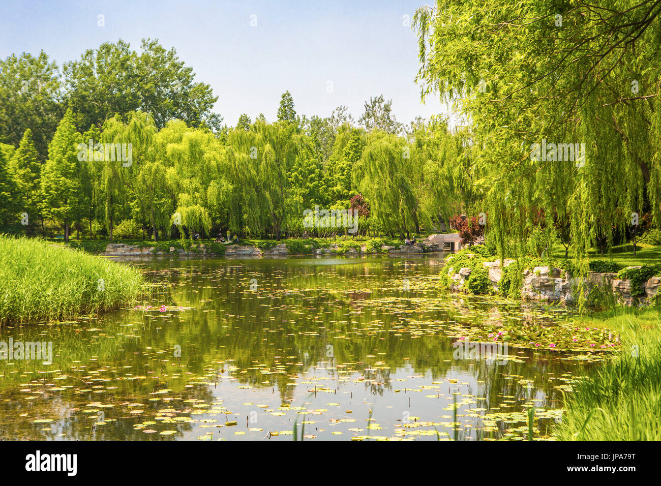 La ciudad de Beijing, China, el Palacio de Verano del parque Foto de stock