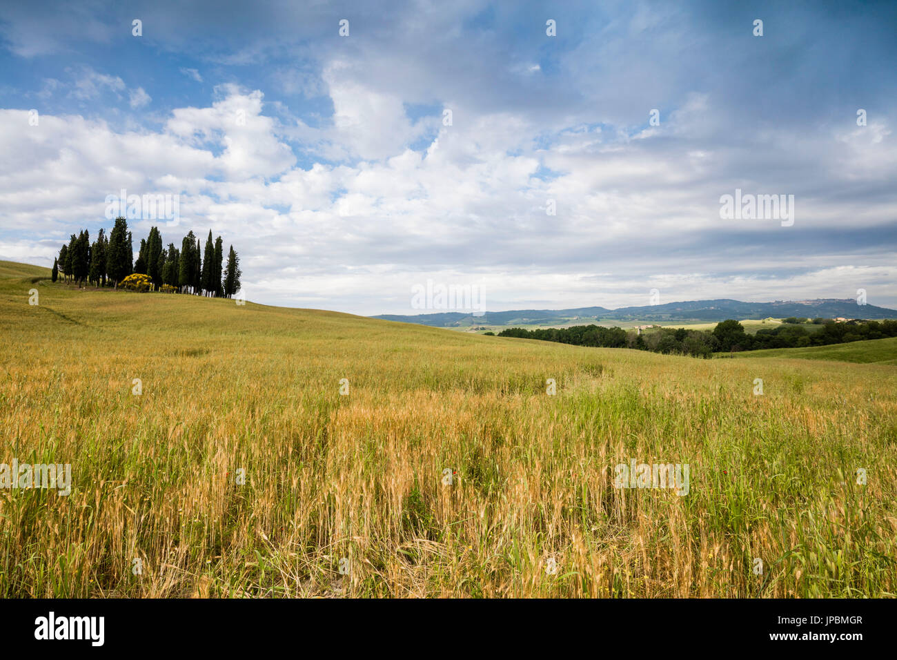 Bastidor de nubes las suaves colinas verdes de la Val d'Orcia, provincia de Siena Toscana Italia Europa Foto de stock