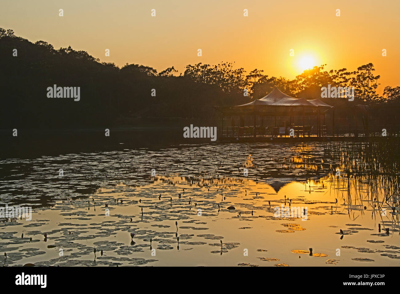 Puesta de sol sobre la Lily Pond Mpumalanga Sudáfrica Foto de stock