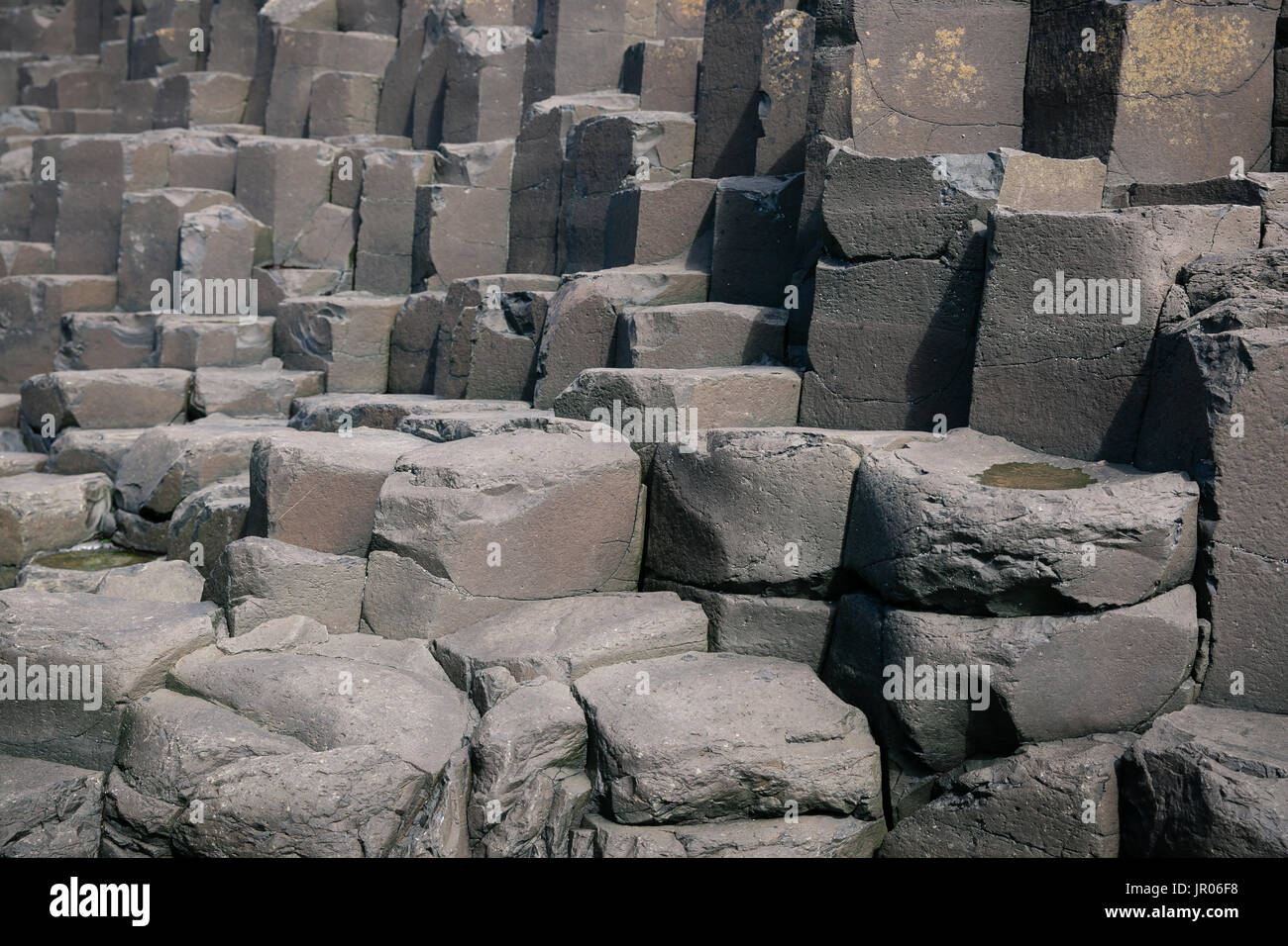Lecho de rocas hexagonales volcánica columnas de basalto en el Giant's Causeway Coast - El Sitio de Patrimonio Mundial Natural en Bushmills Antrim Irlanda del Norte Foto de stock