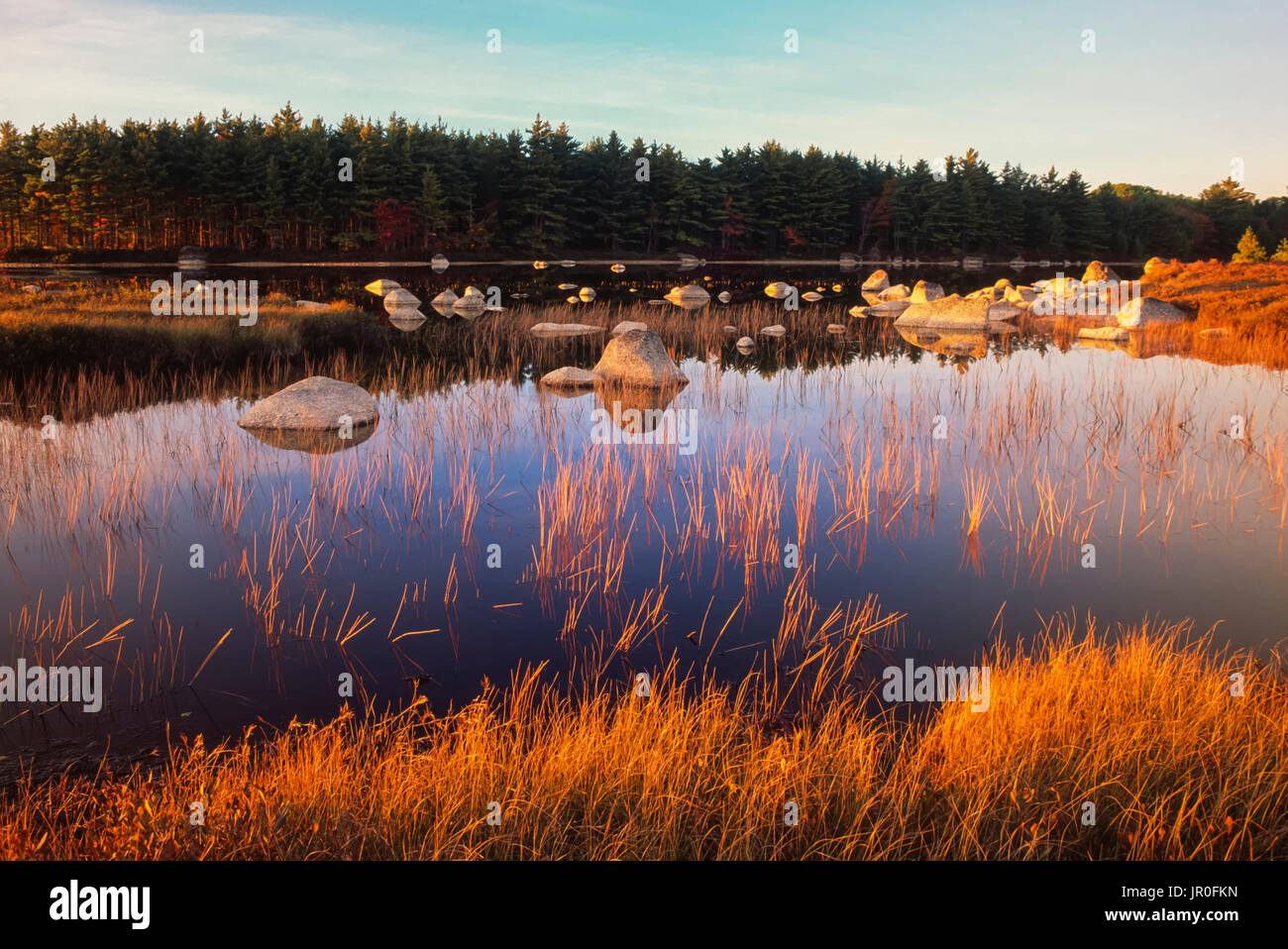 Una puesta de sol resalta una entrada del lago Whitesand Tobeatic zona silvestre, Nova Scotia, Canadá Foto de stock