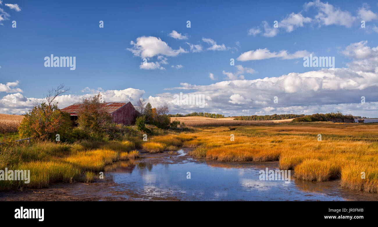 Antiguo granero en el borde de un pantano salado; Merigomish, Nova Scotia, Canadá Foto de stock