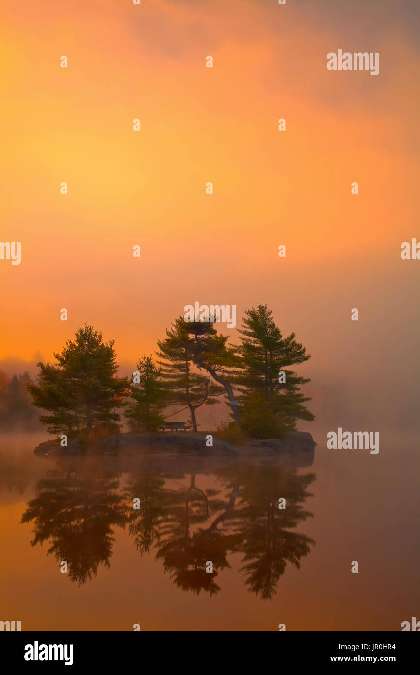 Amanecer mañana de otoño colores con nieblas en dólar, dólar lago Lake Provincial Park, Nova Scotia, Canadá Foto de stock