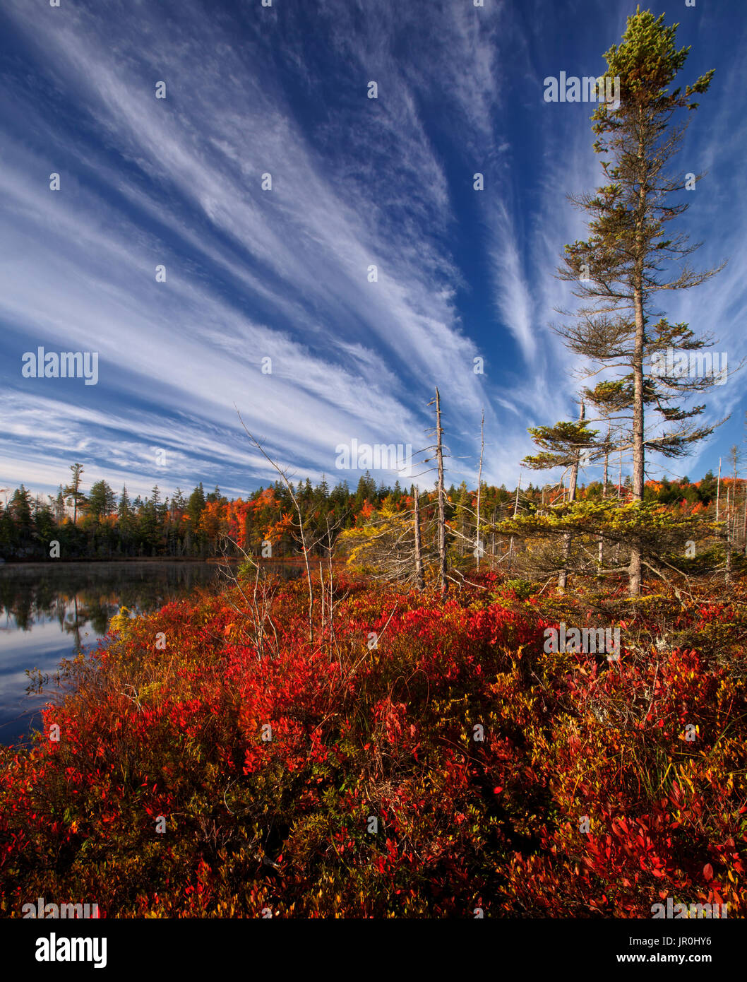 En otoño el follaje de color a Jacks Lago; Bedford, Nova Scotia, Canadá Foto de stock