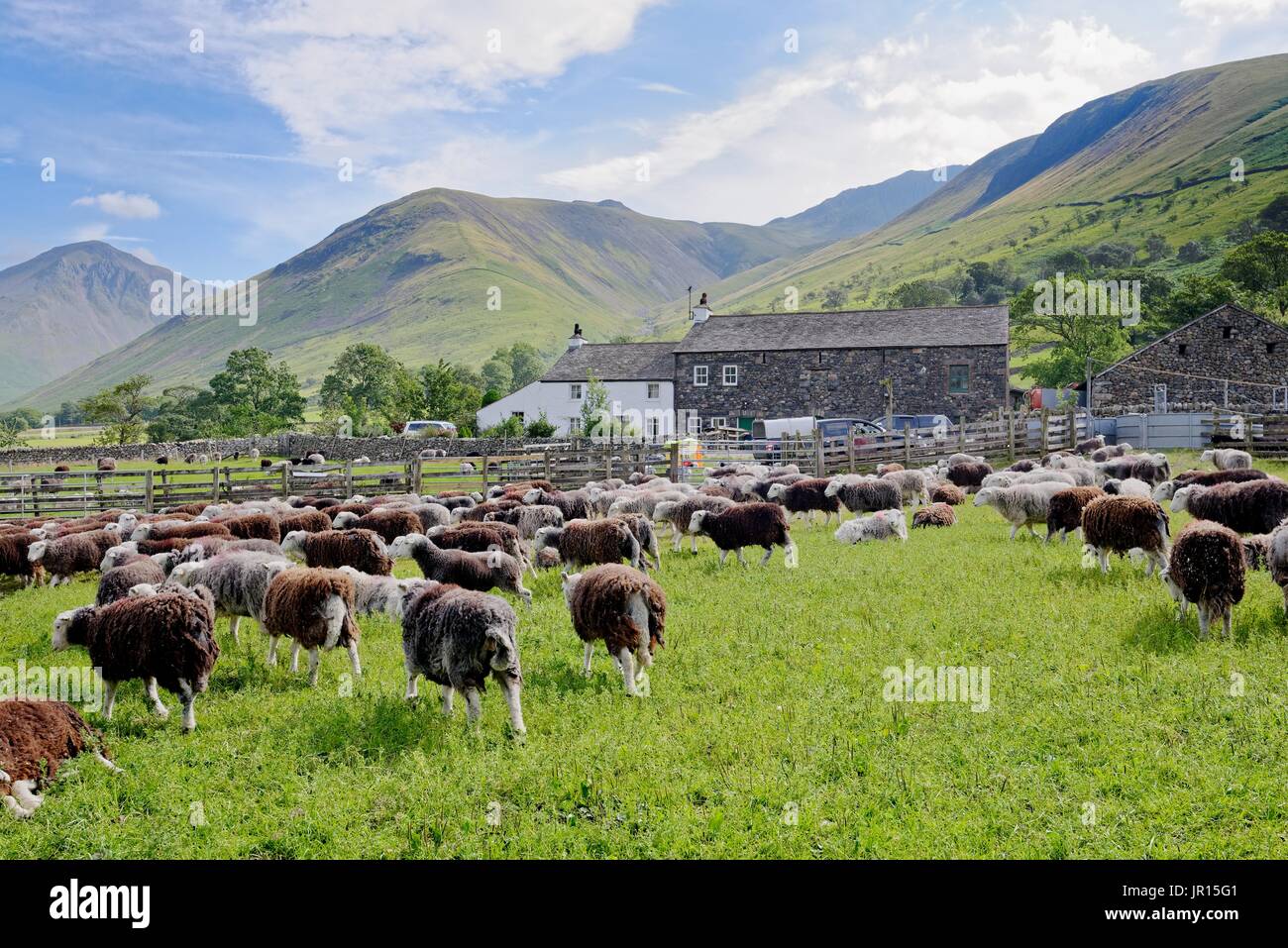 Granja ovejera Wasdale Lake District National Park Cumbria Reino Unido Foto de stock