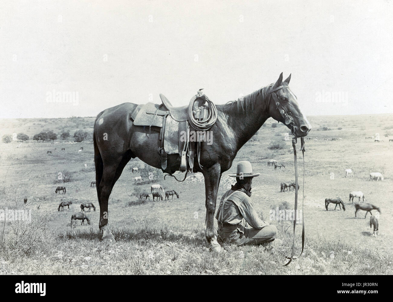 Cowboy,1910 Foto de stock