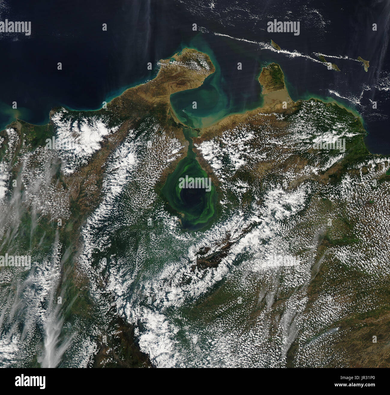 El lago de Maracaibo, Venezuela, con remolinos de vida vegetal verde, capturado por el Moderate Resolution Imaging Spectroradiometer (MODIS) a bordo del satélite Aqua de NASA en febrero de 2017. Heavy Rain combina las capas de agua en el lago, liberando los nutrientes para las plantas para crecer. El remolino de forma corrientes como el agua llega desde el Caribe a través del estrecho. Foto de stock