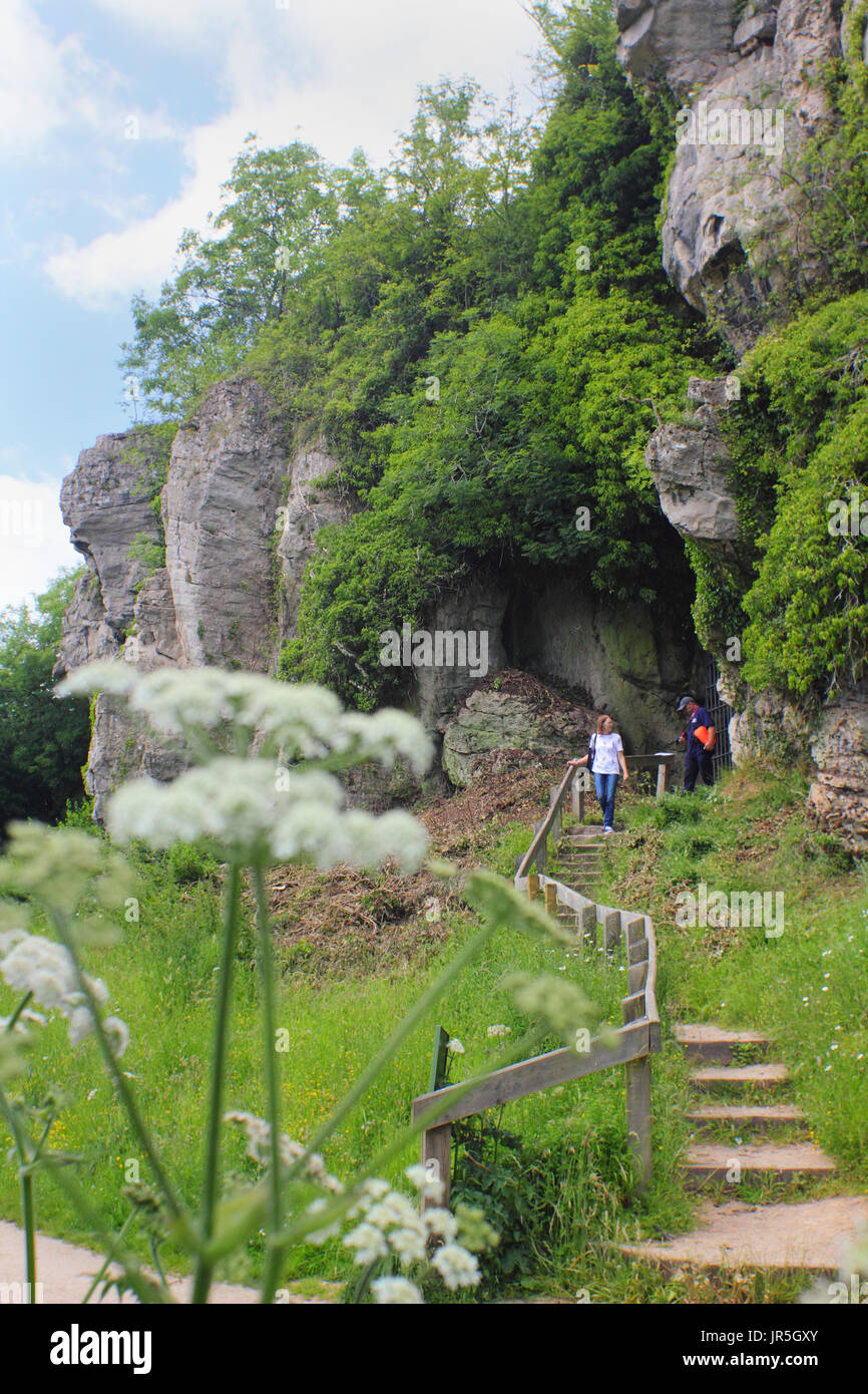 Creswell Crags, un desfiladero de piedra caliza con cuevas archaeoligical panal de importancia en la frontera de Derbyshire y Nottinghamshire, Inglaterra, Reino Unido Foto de stock