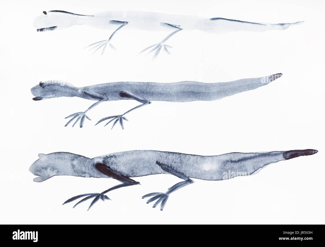 Formacion En Dibujo Estilo Suibokuga Con Pinturas De Acuarelas Bocetos De Lagartijas En Papel Blanco Fotografia De Stock Alamy