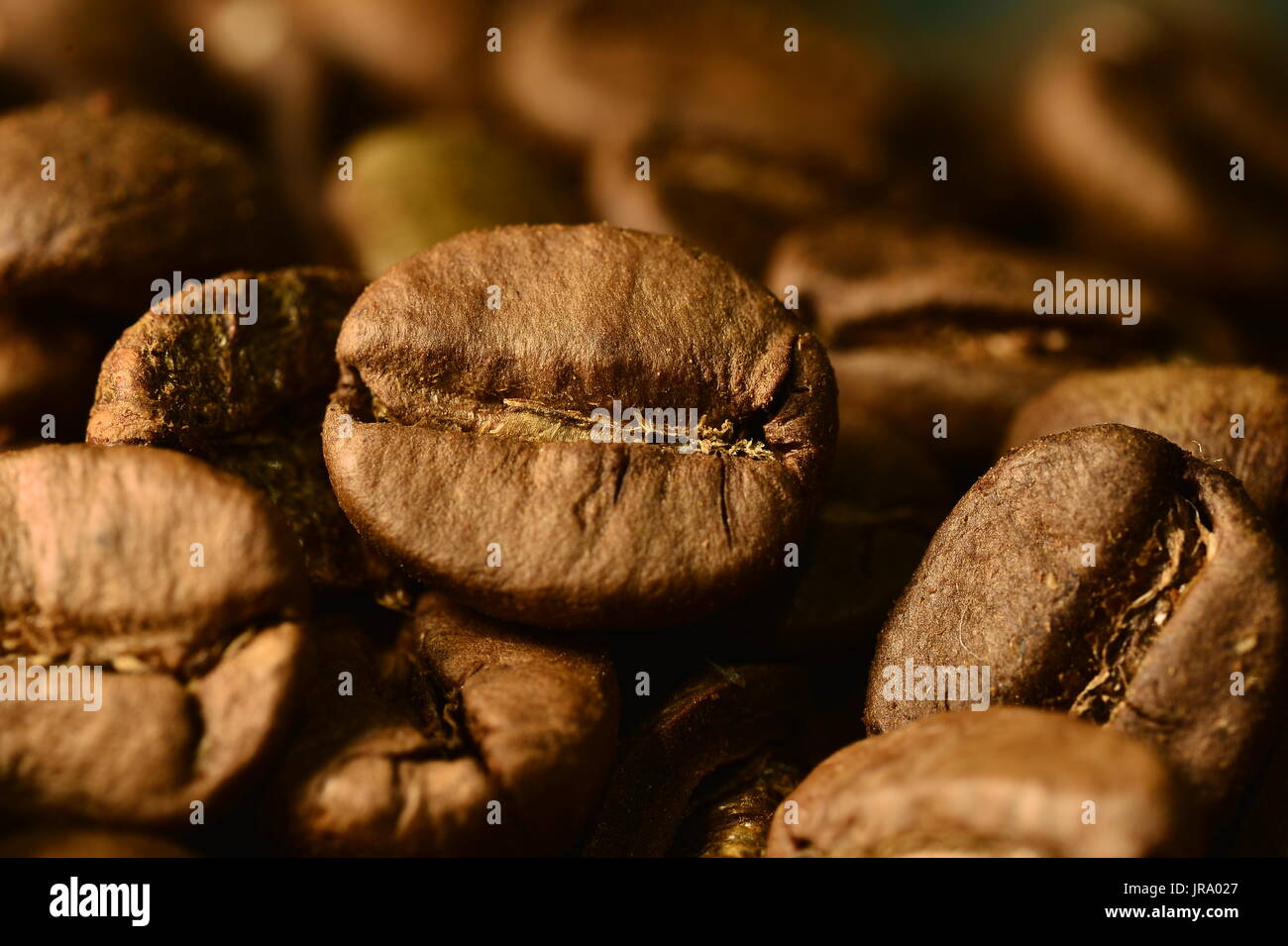 Granos de café brasileño la fotografía macro Foto de stock