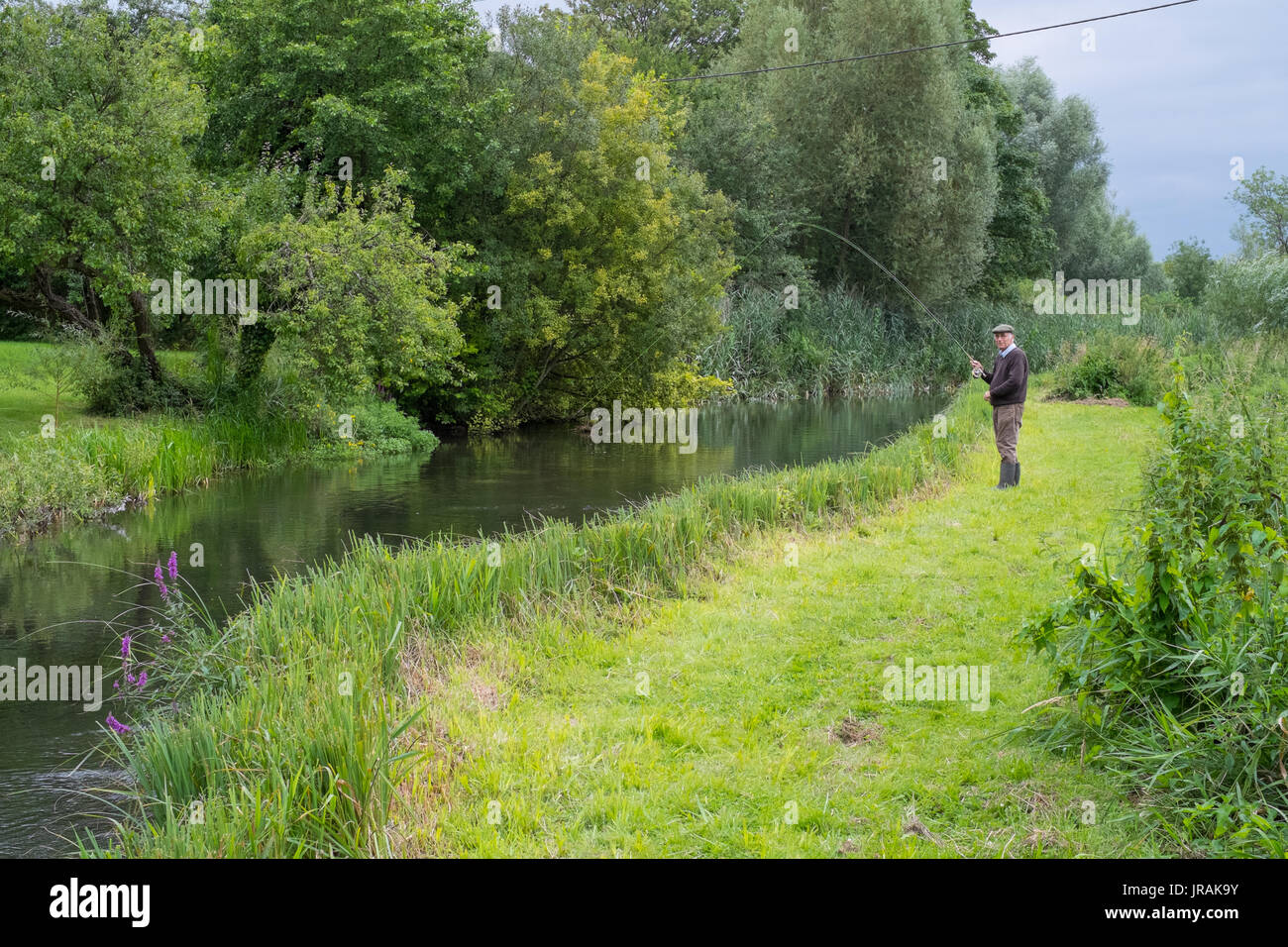 Pescador con mosca se puede pescar en el río, pesca de trucha Wherwell Prueba , Andover, Hampshire, Inglaterra, Reino Unido. Foto de stock
