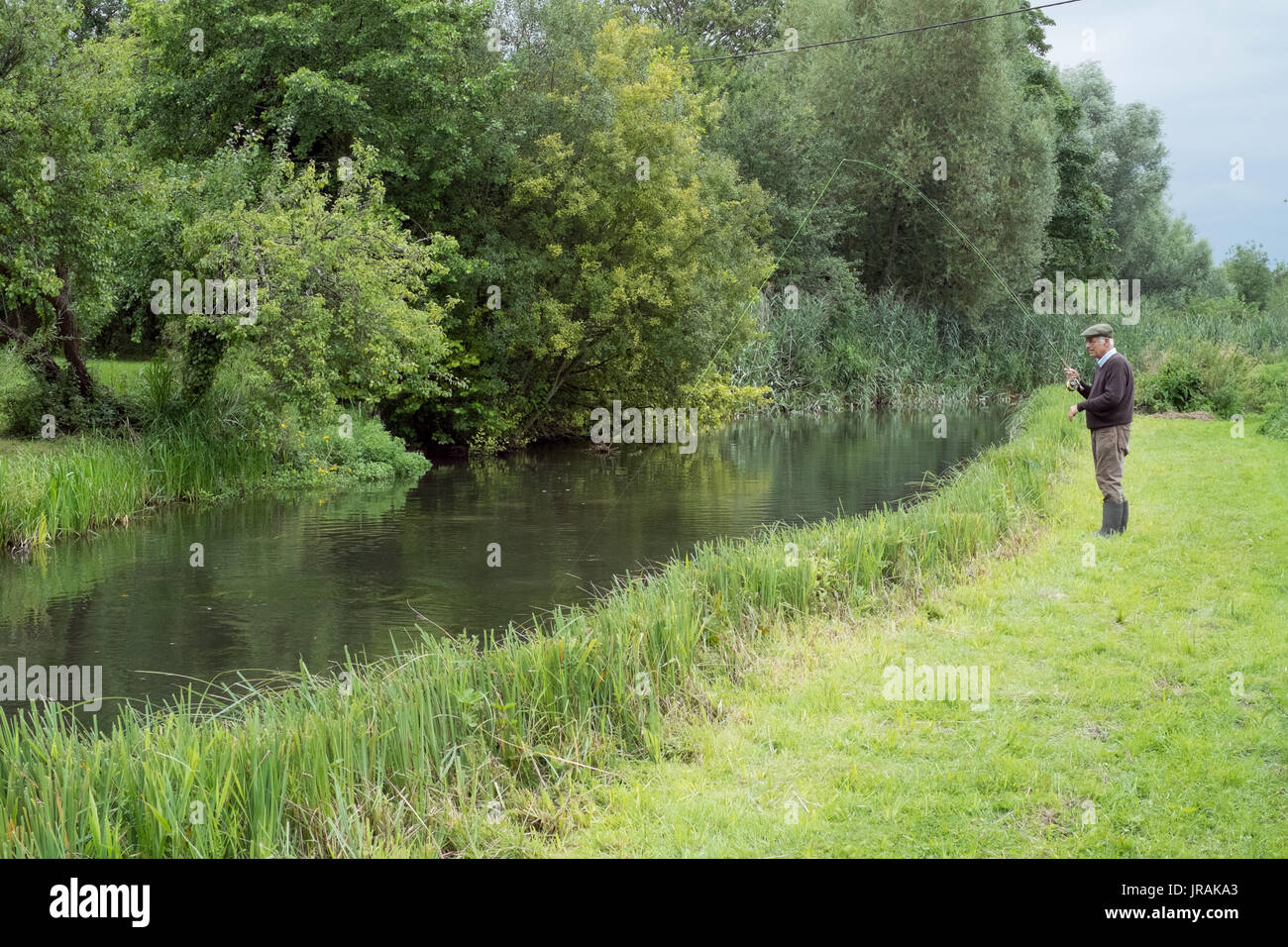 Pescador con mosca se puede pescar en el río, pesca de trucha Wherwell Prueba , Andover, Hampshire, Inglaterra, Reino Unido. Foto de stock