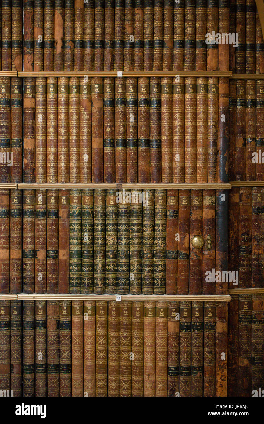 Puerta secreta en una vieja biblioteca con libros antiguos. Foto de stock