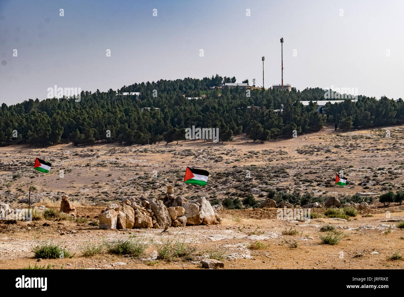Banderas palestinas definir el territorio que había sido ocupado por los colonos israelíes en el asentamiento de Ma'on Chavat sobre una colina de aldeas palestinas Foto de stock