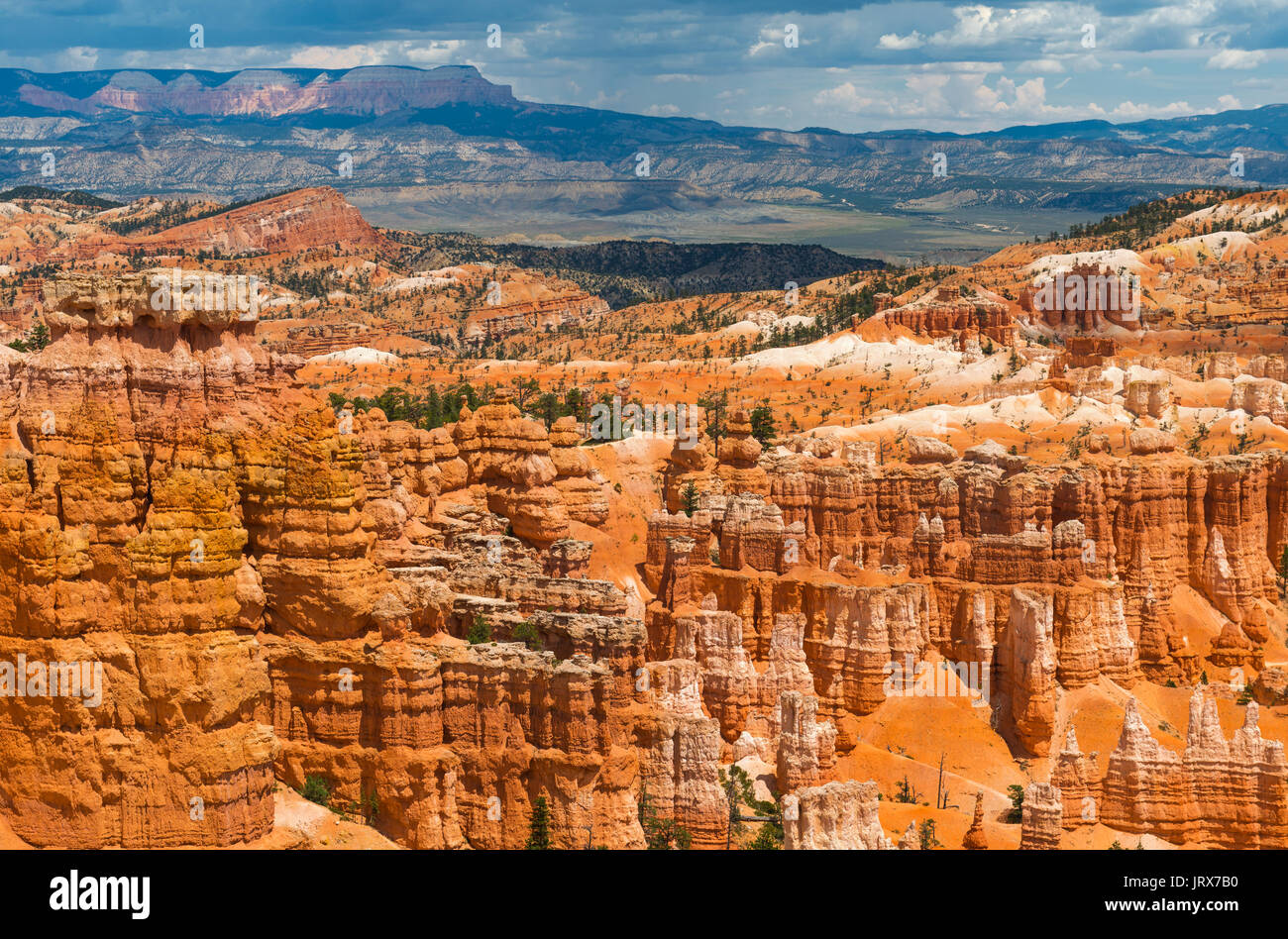 Formaciones rocosas de arenisca Hoodoo y paisaje de Bryce Canyon National Park en el estado de Utah, Estados Unidos de América, EE.UU.. Foto de stock