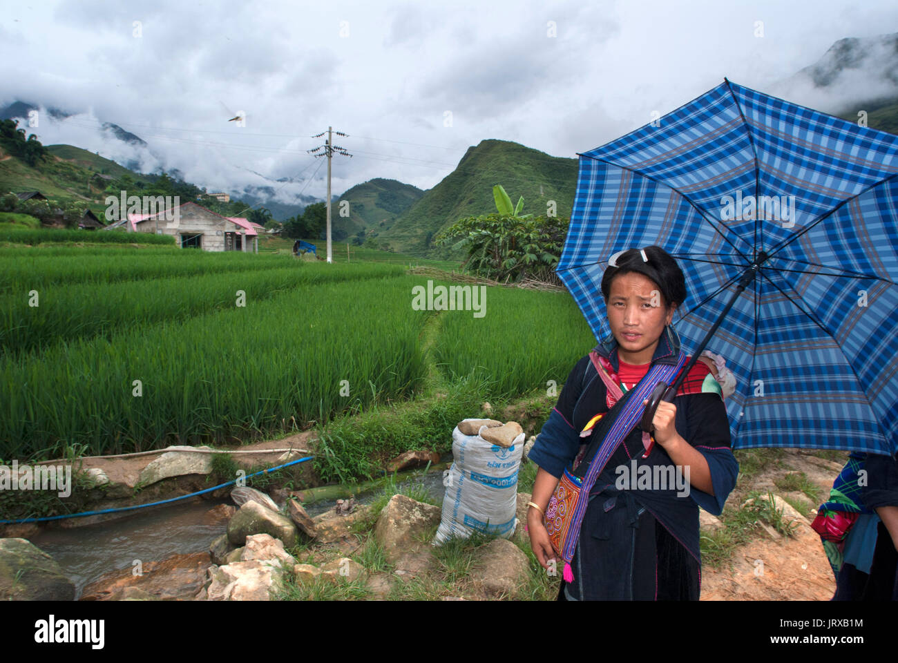 Mujer hmong en las terrazas de arroz cerca de la aldea de chai lao. trekking sapa a lao chai. Vietnam. Foto de stock