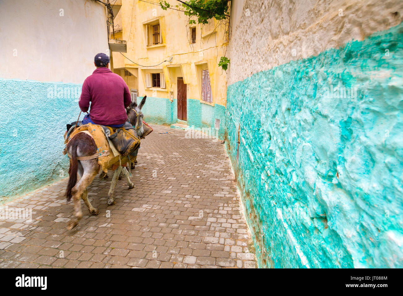 Hombre montado en un asno, La vida en la calle escena, Moulay Idriss. Marruecos, Magreb, África del Norte Foto de stock