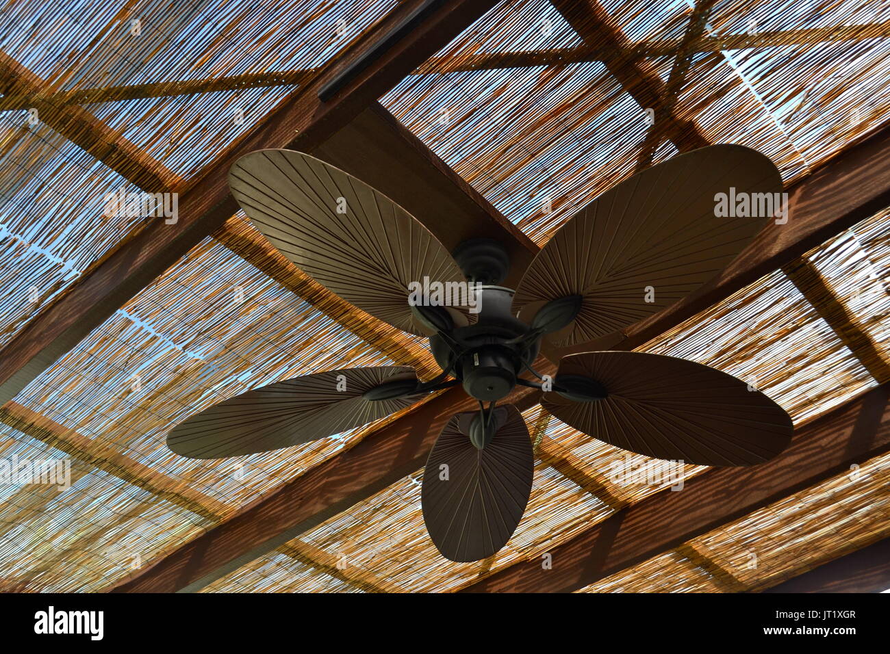 Ventilador de techo en el techo de la pérgola Fotografía de stock - Alamy