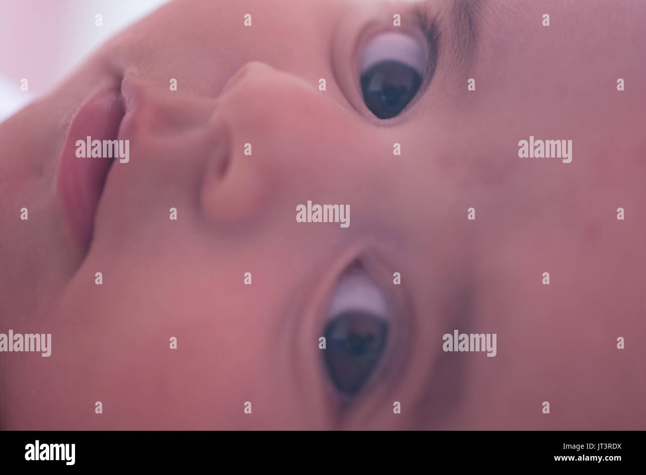 Retrato de una niña de 4 meses Foto de stock