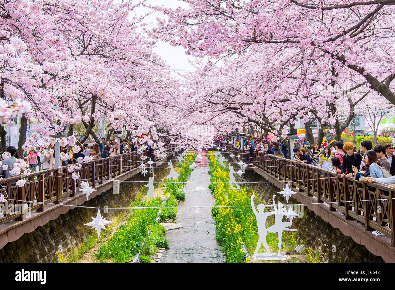 JINHAE, Corea - Abril 2 : Jinhae Gunhangje Festival es el mayor festival de la flor de la cereza en Corea.Los turistas tomando fotos del hermoso paisaje aro Foto de stock