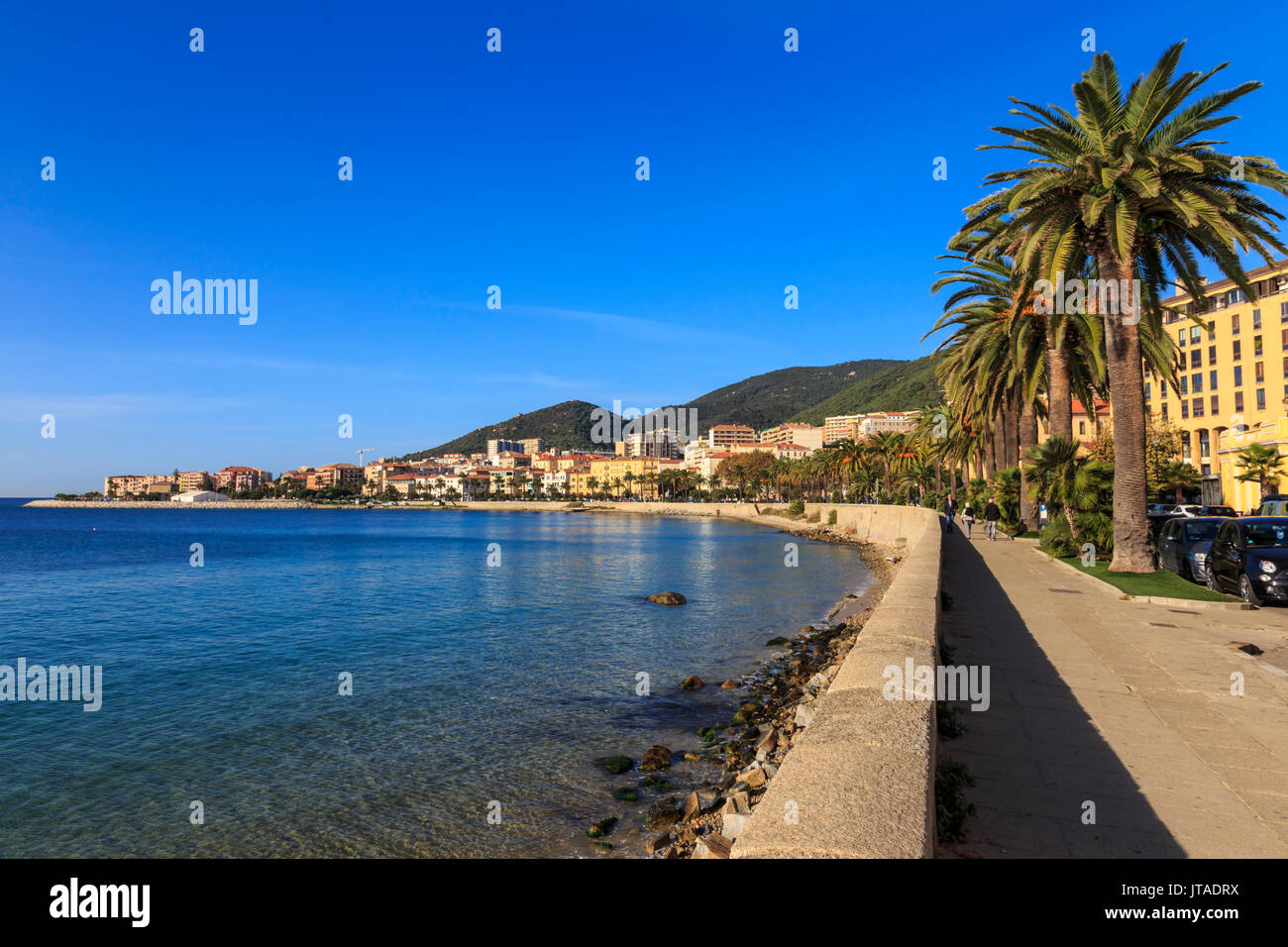 Saint Francois paseo marítimo con palmeras, la luz de la mañana, Ajaccio, Isla de Córcega, el Mediterráneo, Francia, Mediterráneo, Europa Foto de stock