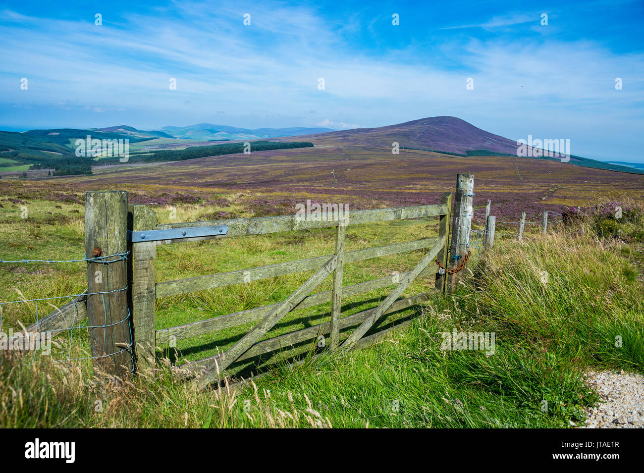 Los pastos en el interior de la Isla de Man, dependencia de la corona del Reino Unido, Europa Foto de stock
